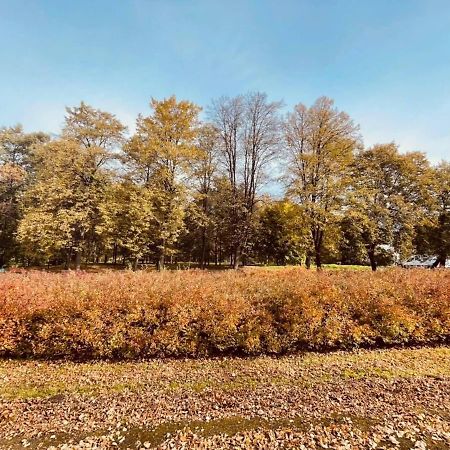 Apartamenty Ktw Debowe Tarasy Katovice Exteriér fotografie