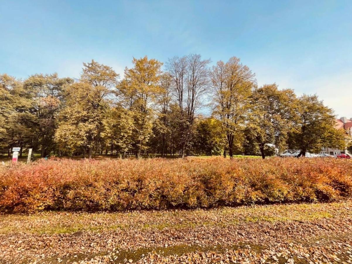 Apartamenty Ktw Debowe Tarasy Katovice Exteriér fotografie